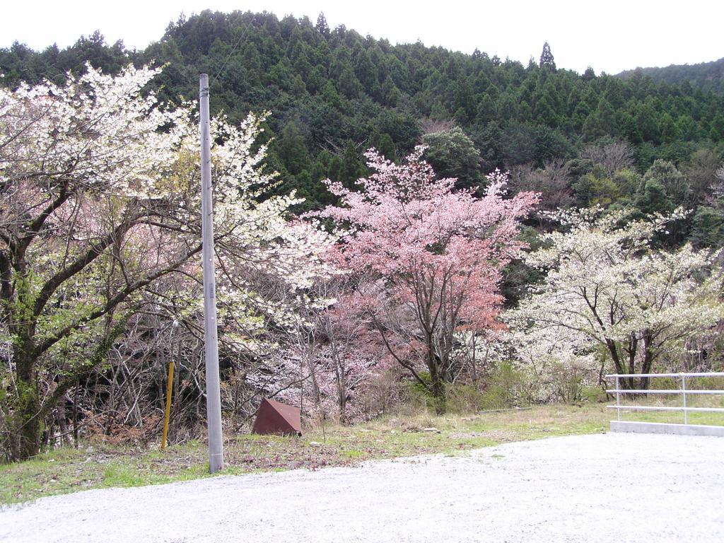 Hôtel Irorino Yado Sankichi à Izu  Extérieur photo